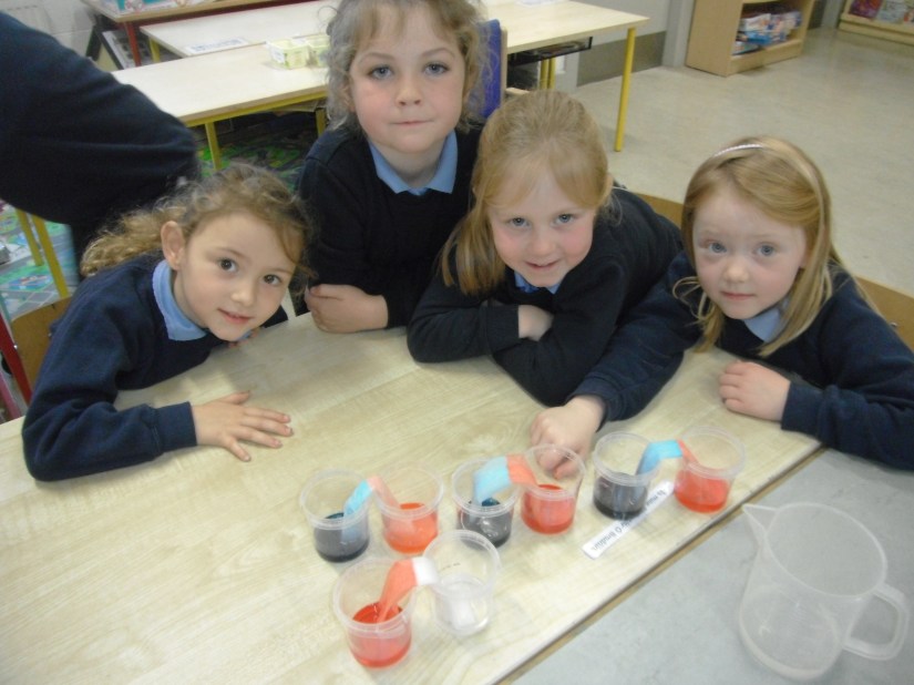 Science Week - experimenting